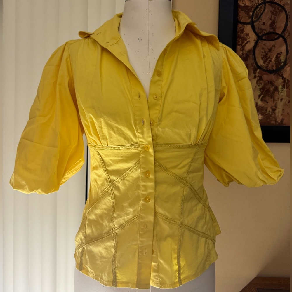 Bebe corset top with puffy sleeves